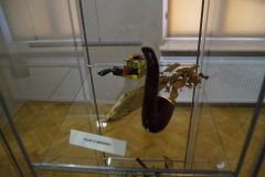 DSC01559