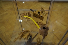 DSC01572
